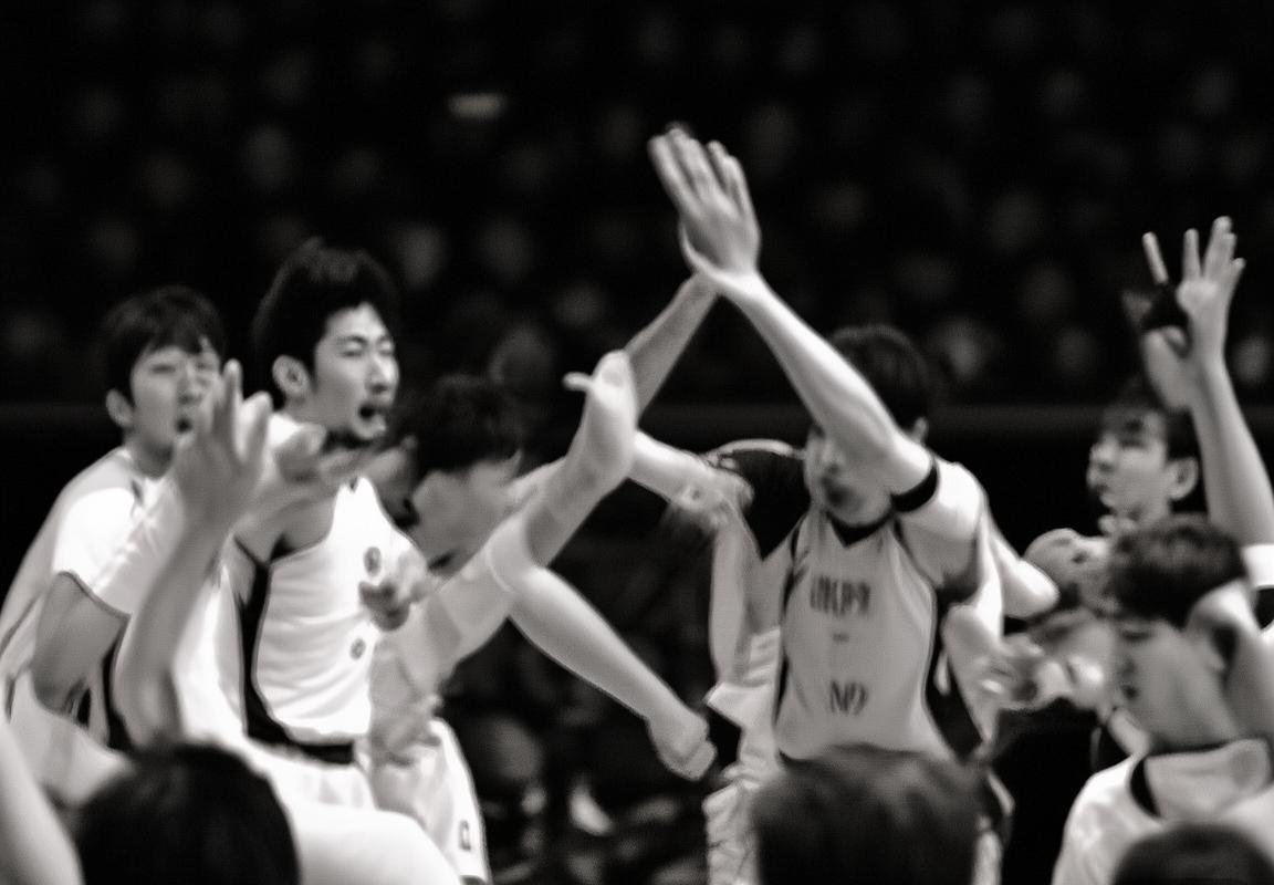 裁判公正争议：重构体育赛事信任基石